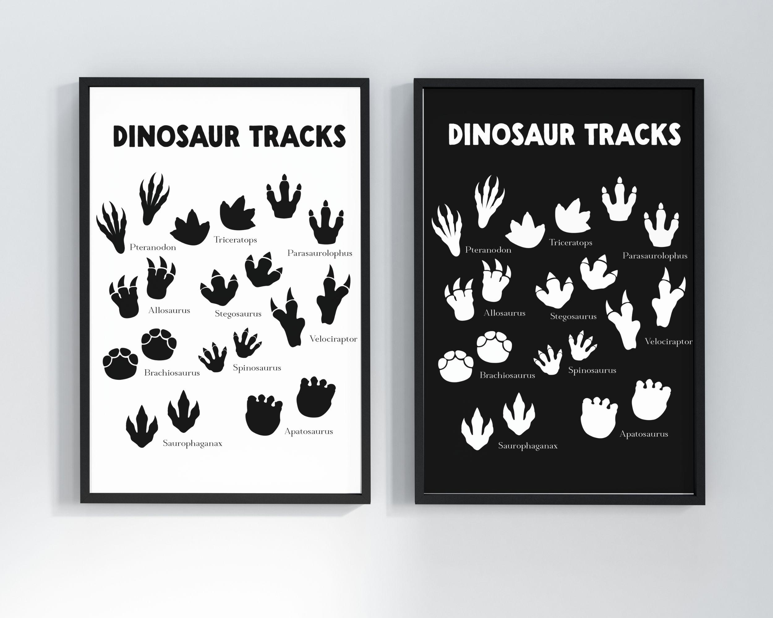 Educational Dinosaur Tracks Wall Art: Prehistoric Jurassic