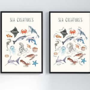 May include: Two framed art prints featuring watercolor illustrations of various sea creatures, including a stingray, crab, and shark. The text "SEA CREATURES" is at the top of each print. The prints are in black frames.