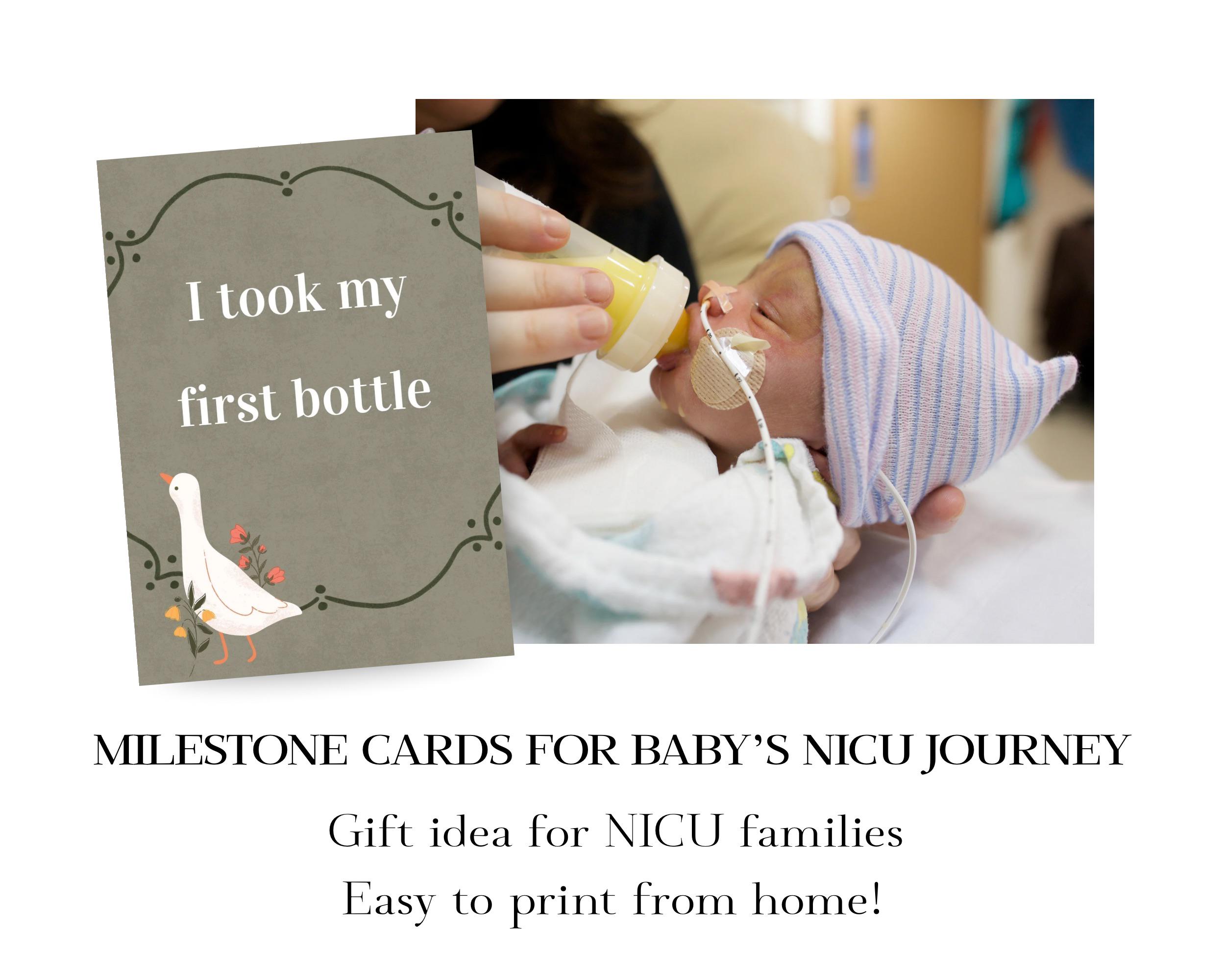 Silly Goose NICU Milestone Cards | Preemie Baby Photo Props | Gender ...