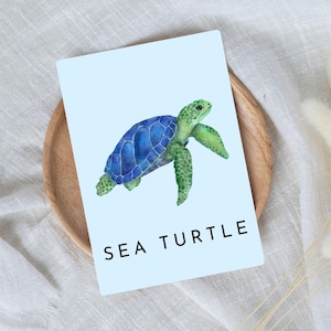 Ocean Animals and Sea Creatures Flashcards | Montessori Nomenclature ...