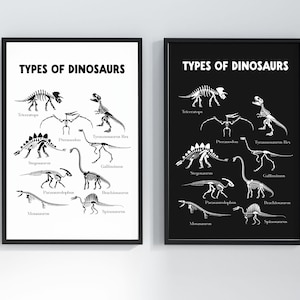 May include: Two framed prints displaying dinosaur skeletons with the text "TYPES OF DINOSAURS." One print has a white background with black text and illustrations, while the other has a black background with white text and illustrations. The prints are displayed side by side.