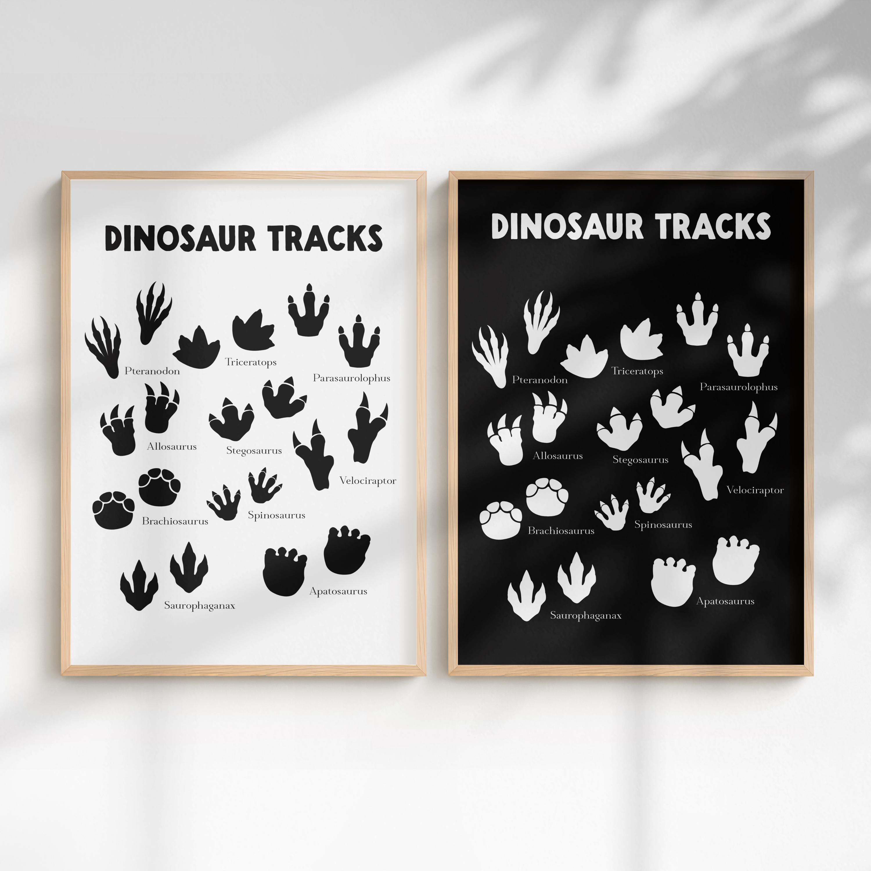 Educational Dinosaur Tracks Wall Art: Prehistoric Jurassic
