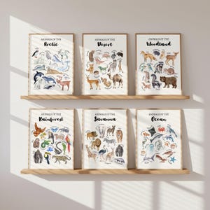 May include: Six framed animal posters displayed on wooden shelves. Each poster features watercolor illustrations of animals from different habitats: Arctic, Desert, Woodland, Rainforest, Savanna, and Ocean. The text "ANIMALS OF THE" is above each habitat name.