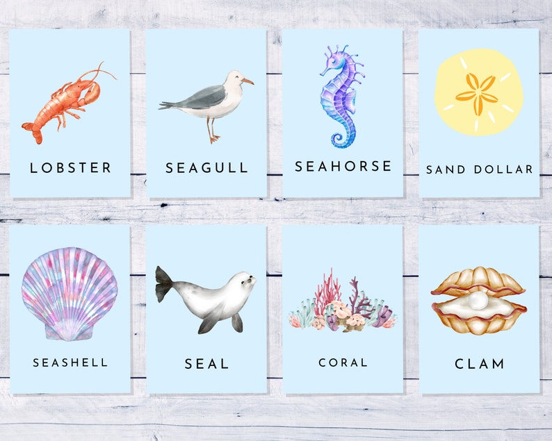 28 Ocean Sea Creatures Flashcards Montessori Ocean Animals Flashcards ...