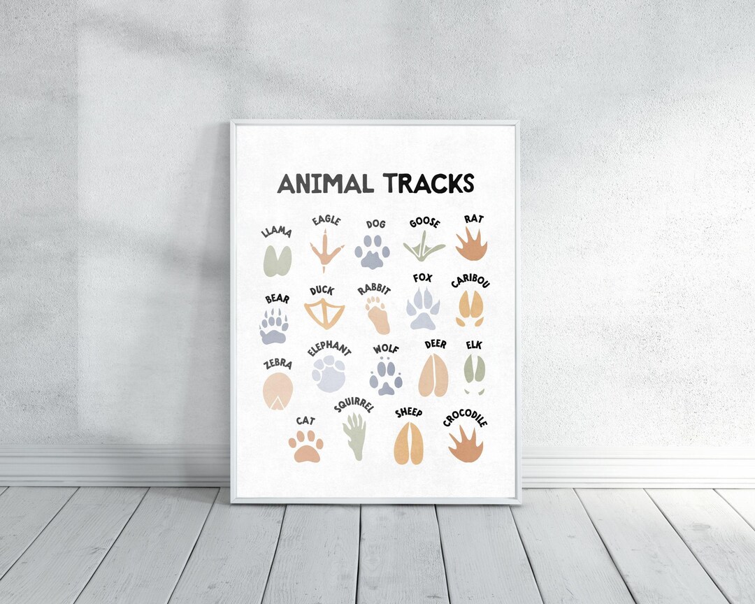 Animal Tracks Wall Art for Kids | Educational Nature Poster | Woodland ...