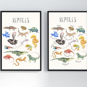 May include: Two framed art prints showcasing watercolour illustrations of reptiles. The prints feature colourful lizards, snakes, and amphibians, each labelled with its species name. The word "REPTILES" is printed at the top of each print, in a simple, clear font.