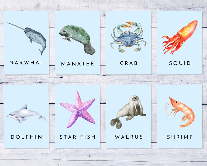28 Ocean Sea Creatures Flashcards Montessori Ocean Animals Flashcards ...