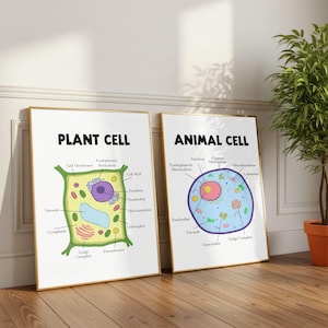 Labeled Plant & Animal Cell Biology Posters | Educational Science Wall ...