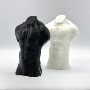 Male Body Torso Sculpture - 6~12 Inches Height Options - Custom Colors - 3D Printed