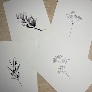 4er Set minimalistische Postkarten / modern / Schleierkraut / Magnolie / Olivenzweig
