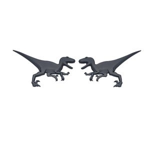 Raptor Emblems, Mirrored