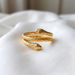 Può includere: Un anello color oro a forma di serpente avvolto con un motivo testurizzato simile a squame che copre l'intera superficie. Il design presenta due distinte teste di serpente alle estremità della fascia, creando una forma a spirale sovrapposta.