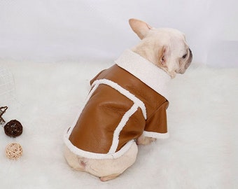 chihuahua leather jacket