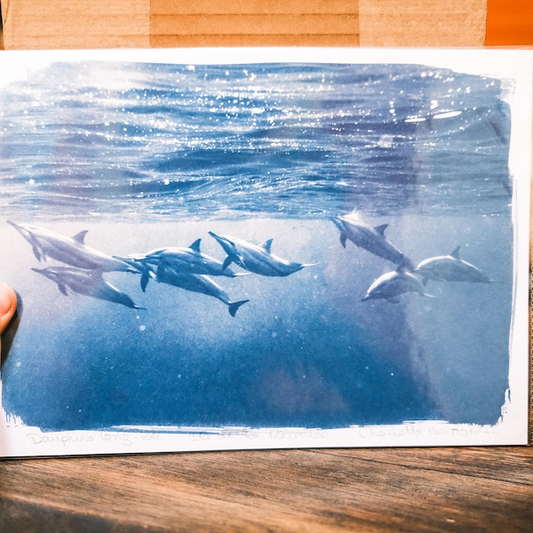 Tirage unique fait main en cyanotype banc de dauphins