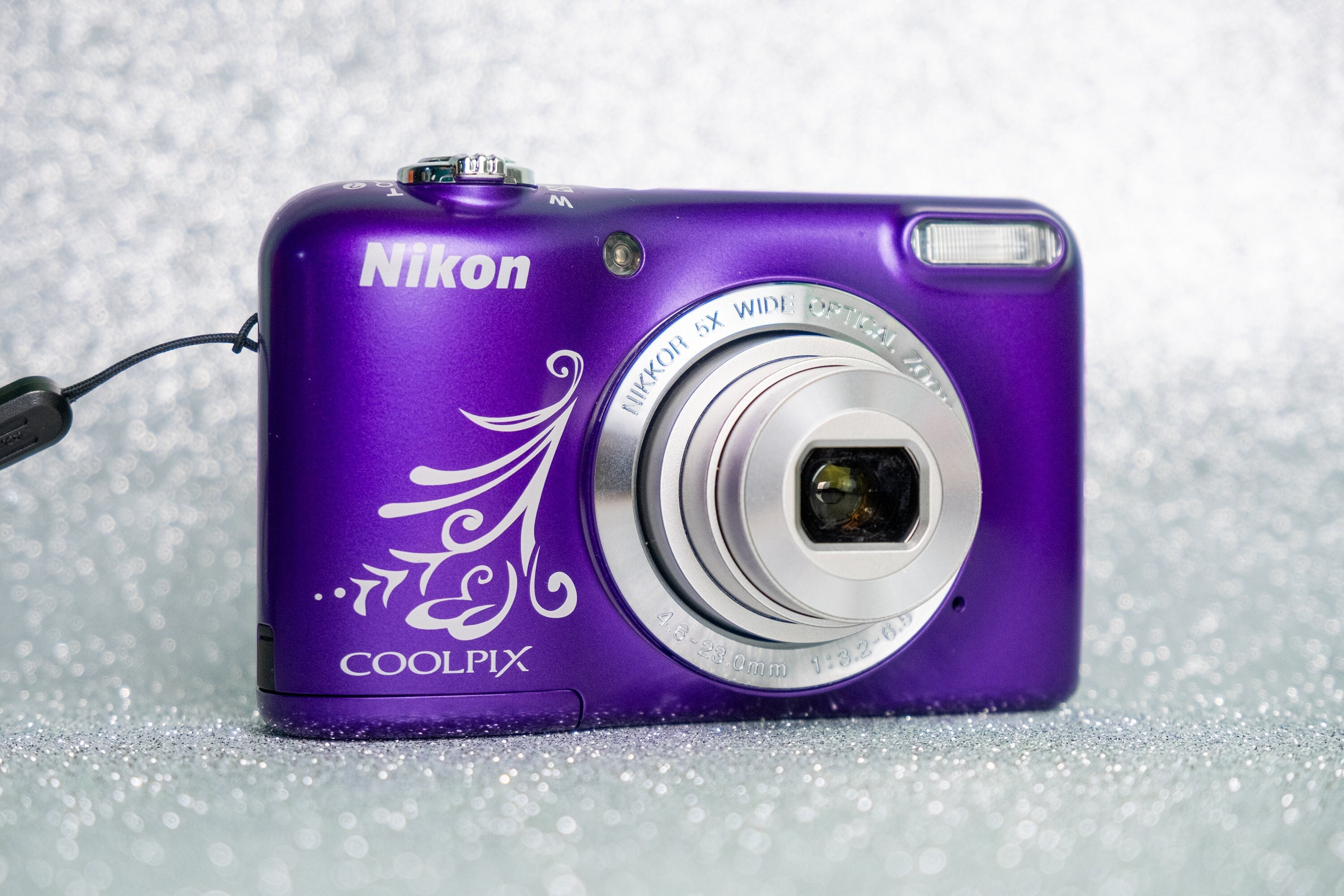 Nikon Coolpix L31 Review