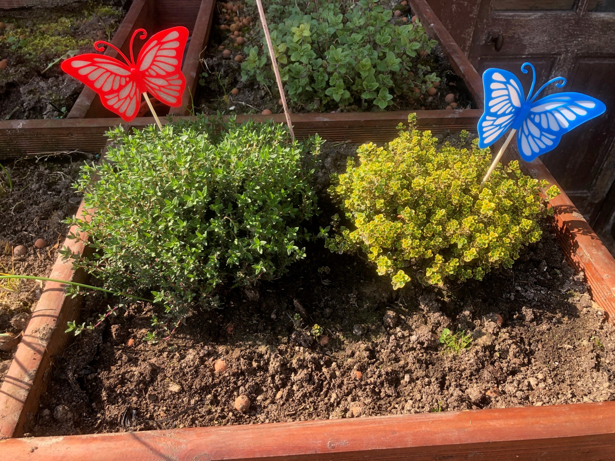 Papillons Décoratifs Bicolores Pour Pots de Fleurs et Jardins