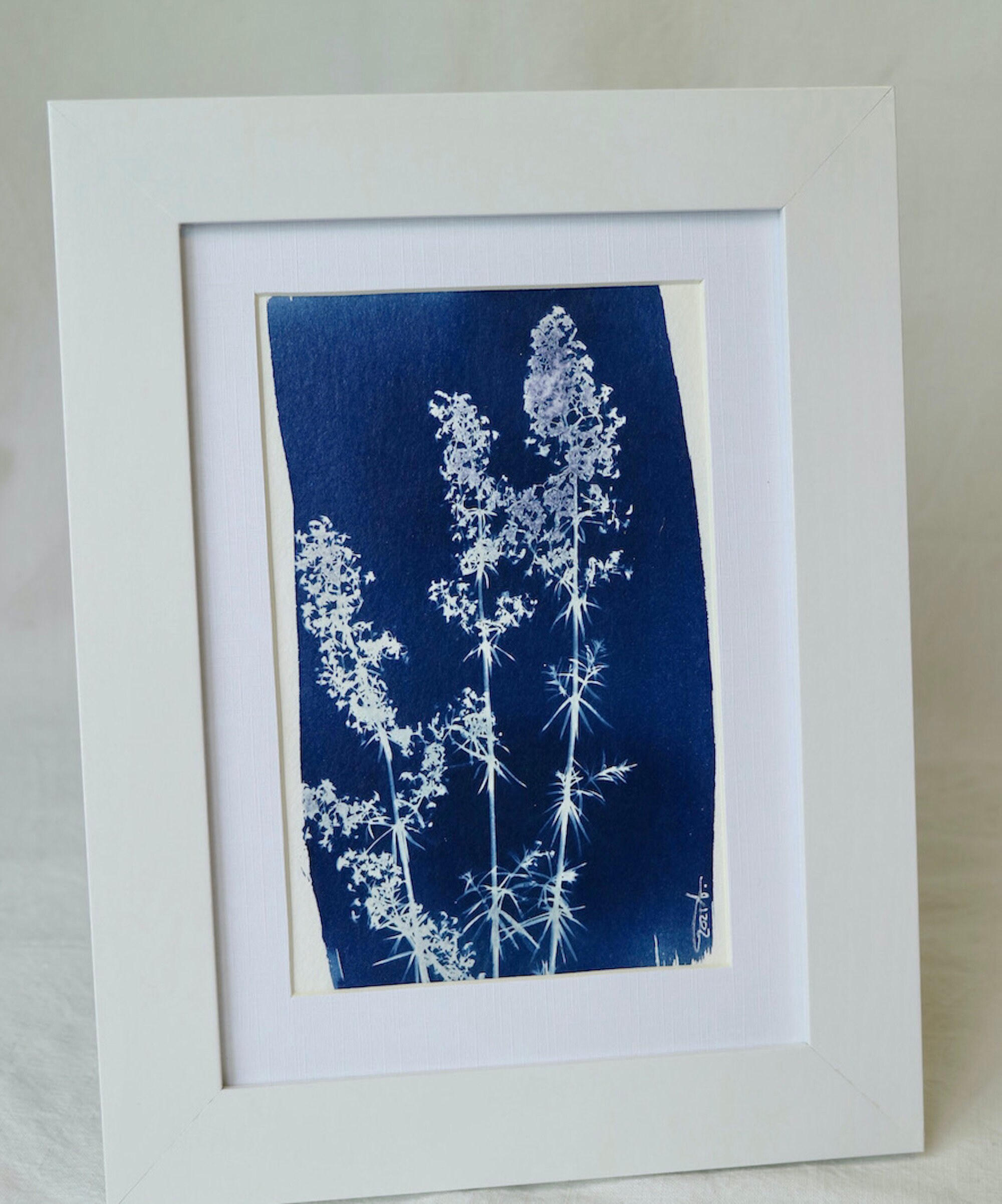 Cyanotype Naturaliste Brindilles d'arbre à Papillons