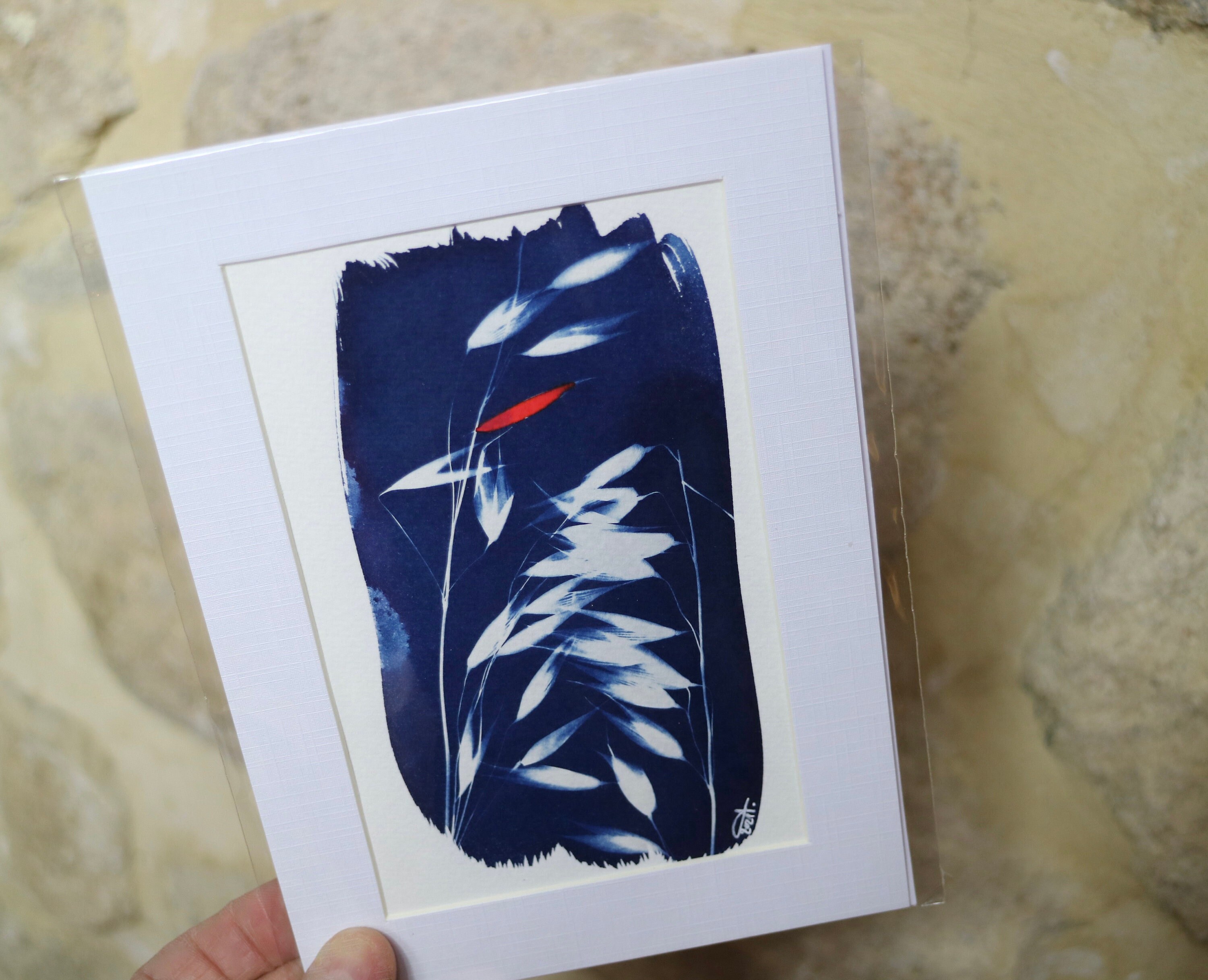 Cyanotype Naturaliste Ombellifère. Carotte Sauvage, Feuille d'or et Cuivrée.