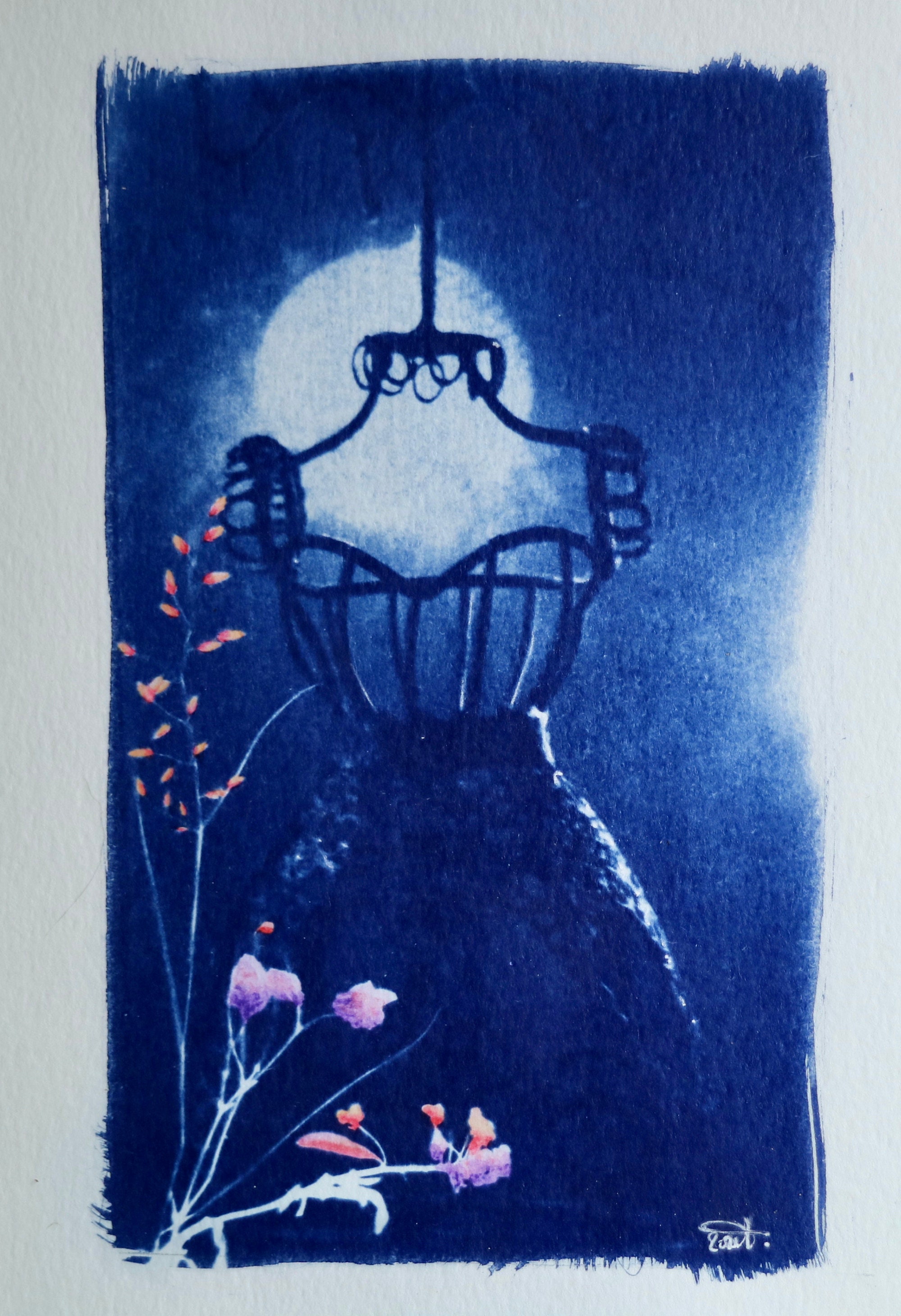 Cyanotype Photo - Aquarelle Rose