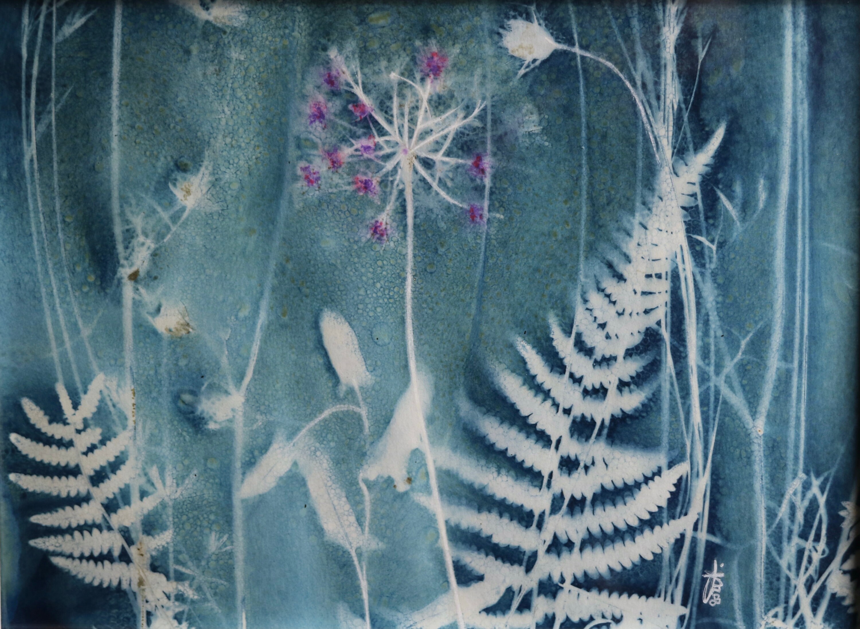 Cyanotype Naturaliste Fougères, Angélique et Aquarelle Rose/Violet