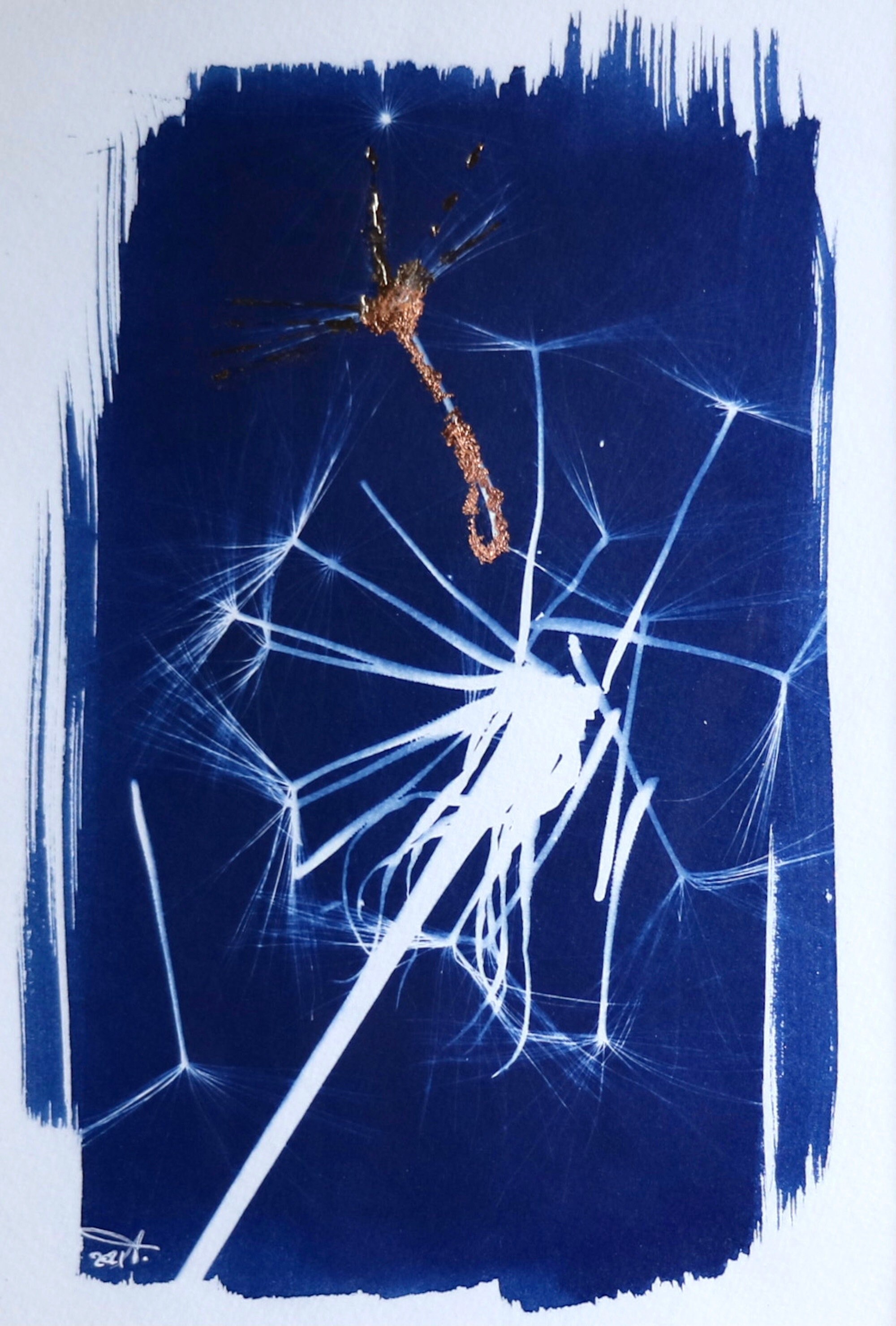 Cyanotype Naturaliste Pissenlit et Feuille Cuivrée