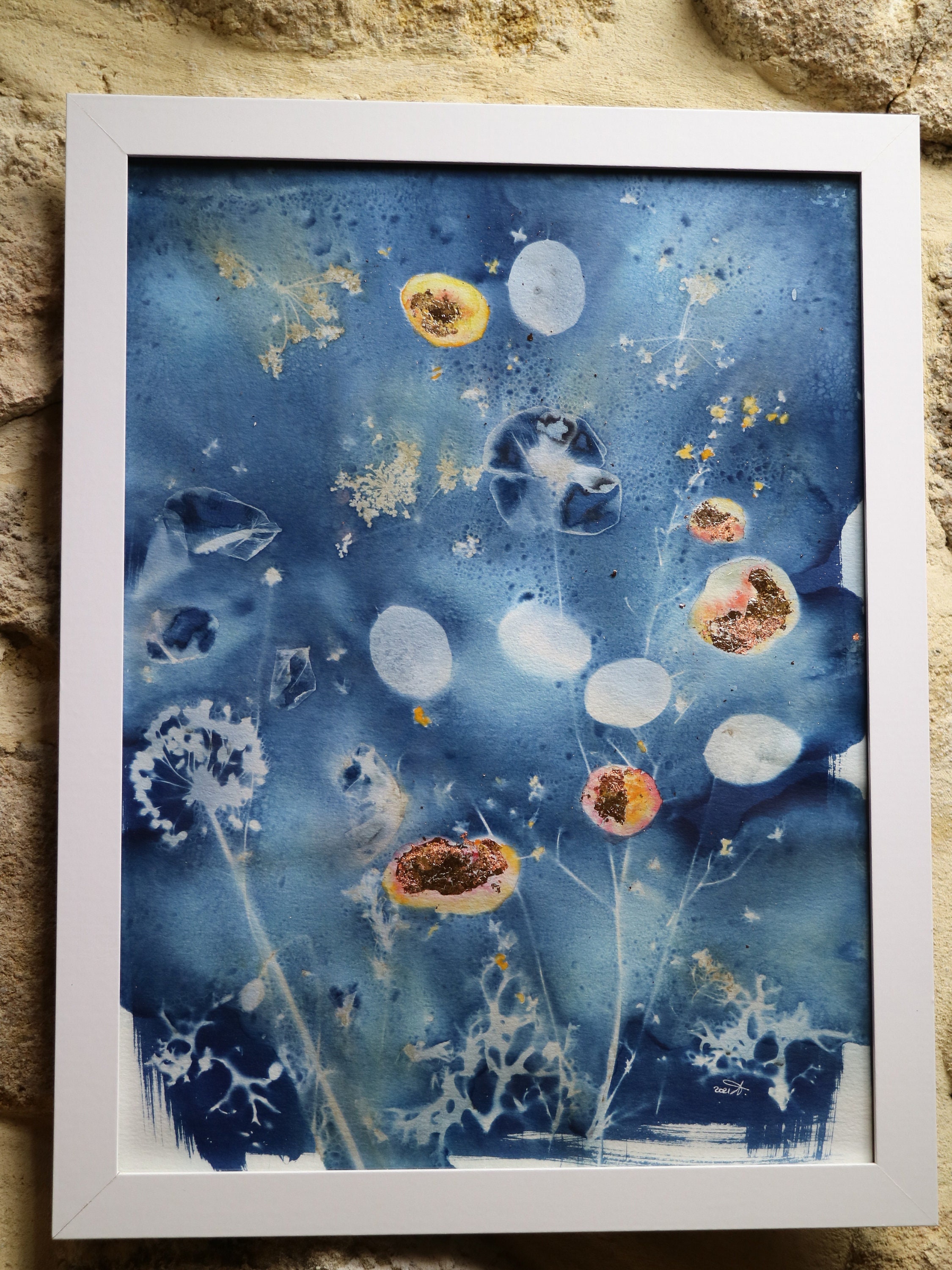 Cyanotype Naturaliste Original Coquelicot, Monnaie Du Pape et Oignon Sauvage. Aquarelle Feuille d'or