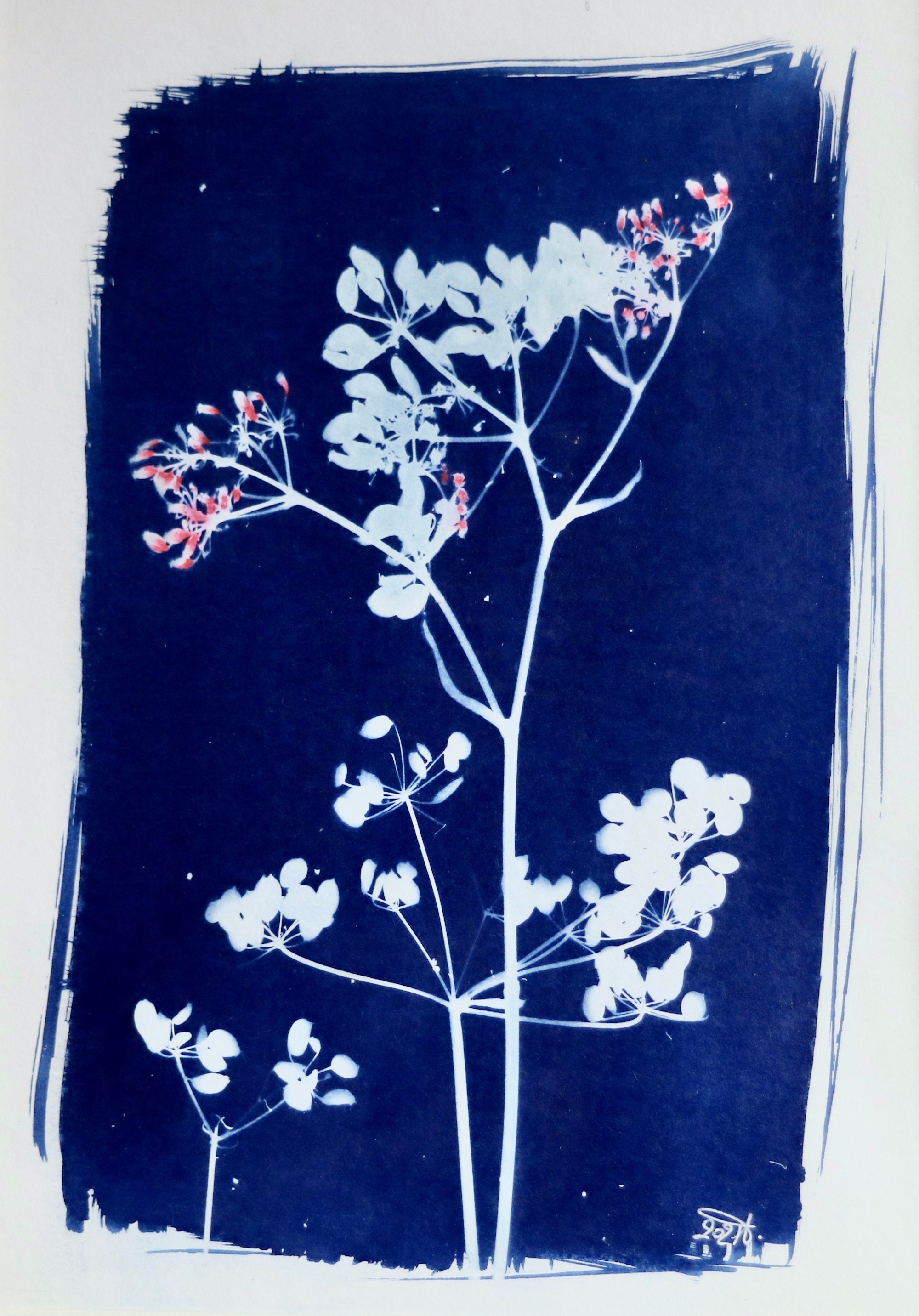 Cyanotype Floral Original. Aquarelle Rouge.