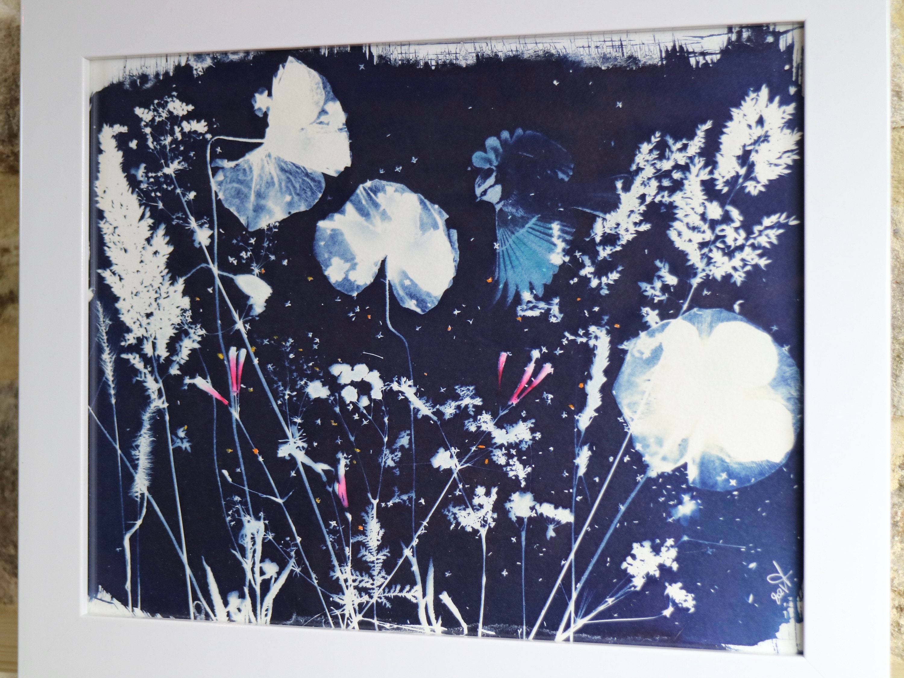 Cyanotype Original Vol d'oiseau, Coquelicots et Brindilles Sauvages. Aquarelle Rose.