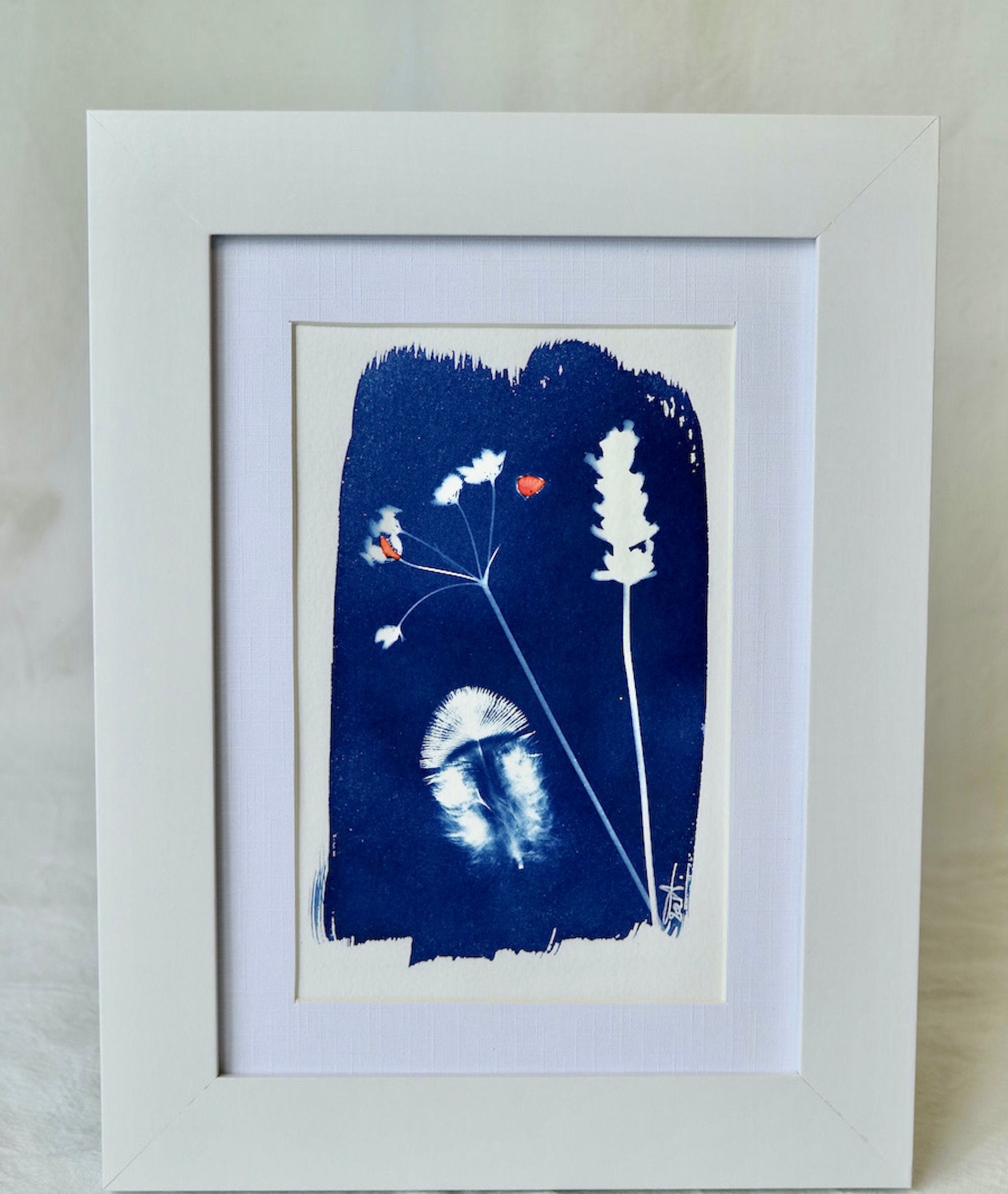 Cyanotype Naturaliste Brindilles et Plume - Aquarelle Rouge