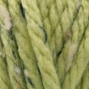 Peut inclure: Une pelote de fil de couleur vert clair avec des reflets blancs et bruns. Le fil est torsad&eacute; et a une texture duveteuse.