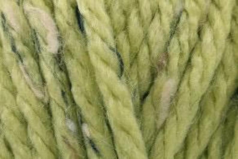 Peut inclure: Une pelote de fil de couleur vert clair avec des reflets blancs et bruns. Le fil est torsad&eacute; et a une texture duveteuse.