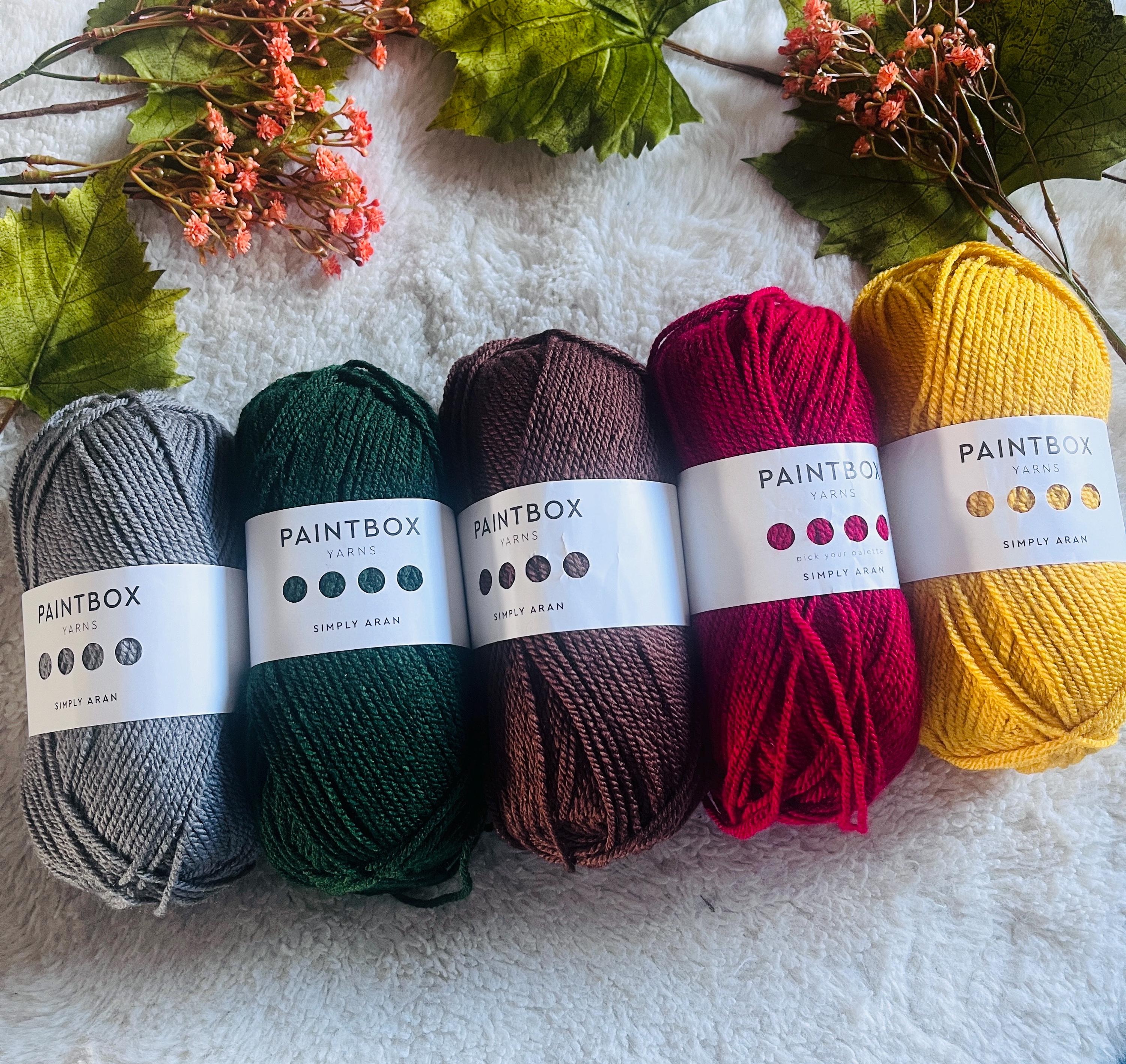 PAINTBOX 5 X 100g Earthy Neutrals Pack Aran Worsted Acrylic 100g
