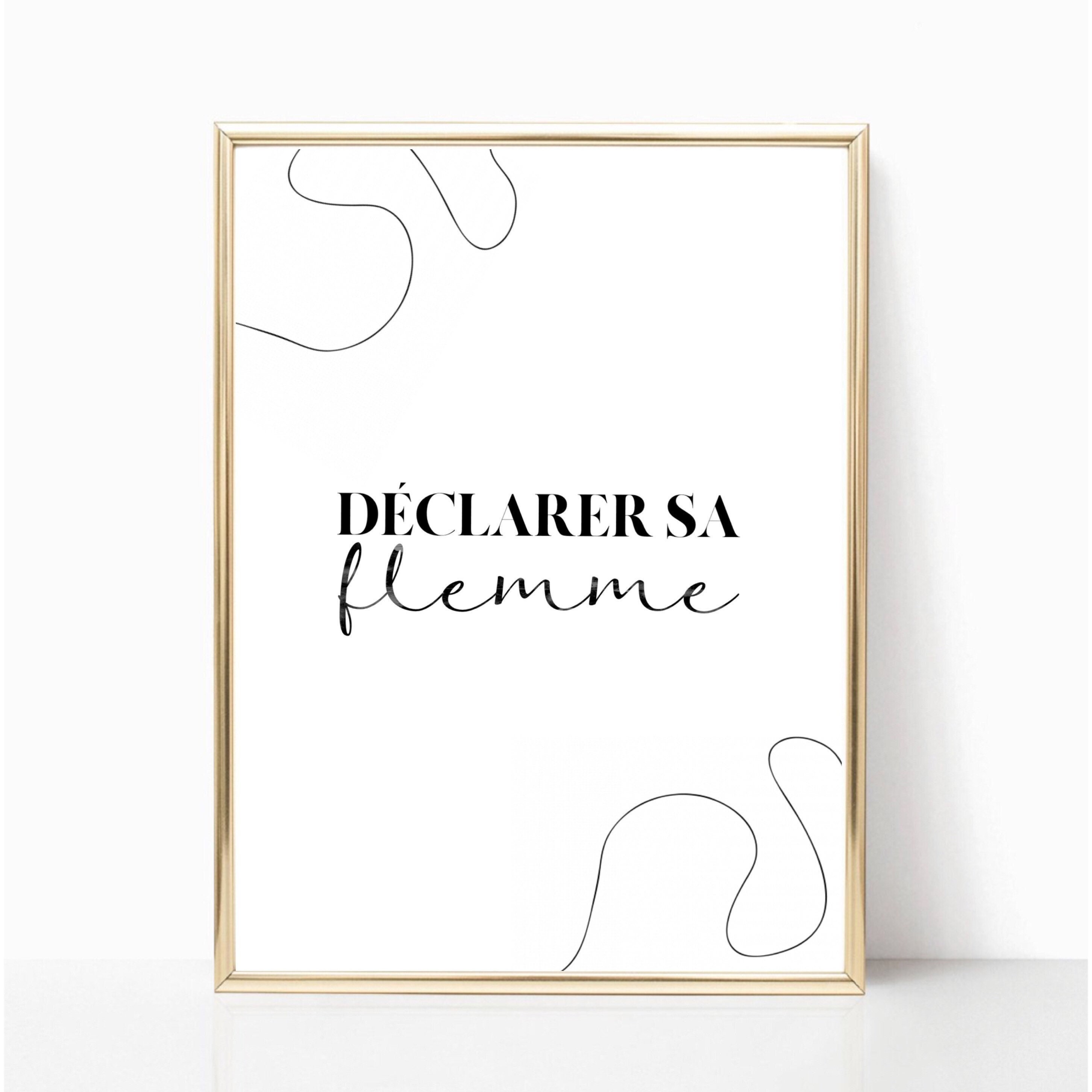 Affiche Jeu de Mots - Déclarer Sa Flemme A4