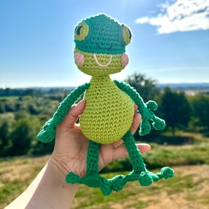Frederick Frog Crochet Pattern | Frog Crochet | Amigurumi | Kawaii Crochet | Pattern in English | Green Frog PDF file |