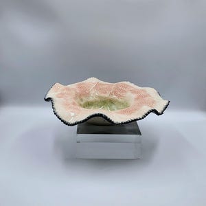 Può includere: Una ciotola in ceramica con bordo arricciato. La ciotola ha un esterno color crema con un interno color corallo e un centro verde. Il bordo è delineato da un bordo nero. La ciotola è esposta su una superficie bianca.