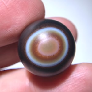 Puede incluir: Una piedra redonda y pulida con un diseño concéntrico. La piedra presenta un anillo exterior marrón oscuro, seguido de bandas blancas, marrón claro y un círculo central beige rosado. La piedra se sostiene entre dos dedos.