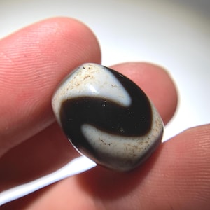 Puede incluir: Primer plano de una cuenta dzi, sostenida entre los dedos. La cuenta tiene forma ovalada con un diseño de yin-yang en blanco y negro. La sección blanca tiene pequeñas motas marrones.