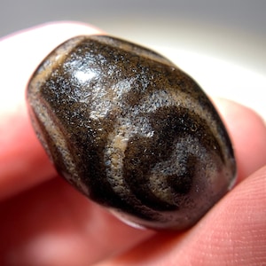 Puede incluir: Una piedra de ágata marrón oscuro y blanco con un patrón de remolino. La piedra es lisa y pulida.