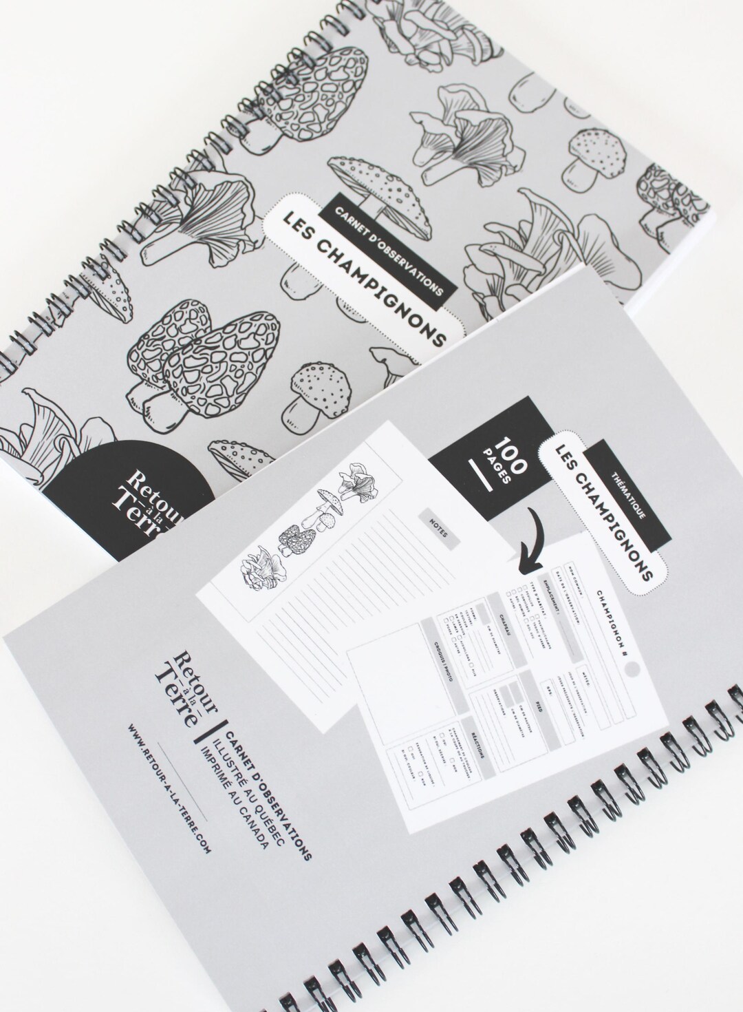 OBSERVATION NOTEBOOK - Theme MUSHROOMS: Notebook for Nature Expedition ...