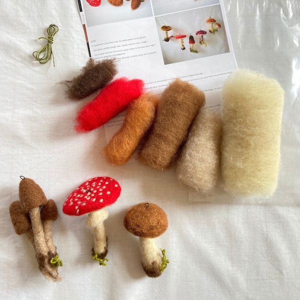 kit de feutrage à l'aiguille de 3 champignons différents, tutoriel en français, 3 techniques différentes, fournitures de feutrage, artisanat