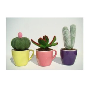 May include: Three felt succulents in colourful mugs. The succulents are green and pink, and the mugs are yellow, pink, and purple.