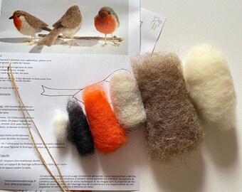 Kit d'aiguilles de feutrage en laine colorée 20 pièces avec 2 Types d