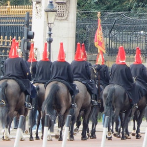 King&#39;s Guards, horses, UK, London, sightseeing