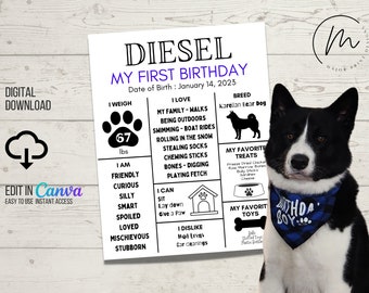 DOWNLOAD DIGITALE IMMEDIATO Segno di pietra miliare del cucciolo di cane orso della Carelia / Segno di compleanno del cane / Stampa a casa / Modello Canva