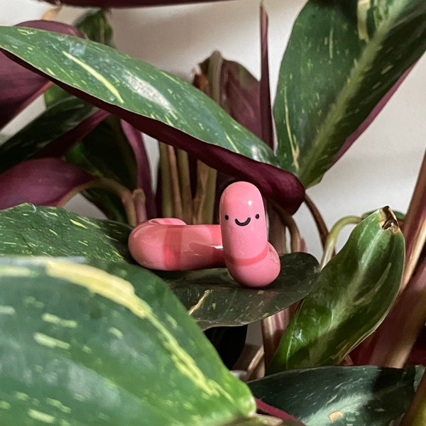 Worm Desk Buddy - Adopt A Mini Earthworm Pet, Cute Tiny Pot Accessories, Handmade Ring Holder, Pen Rest, Paint Brush Stand, Clay Decorations