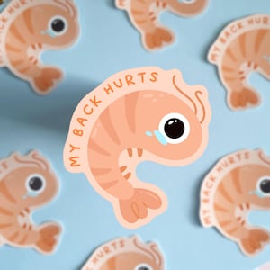 My Back Hurts - Cute Funny Crying Shrimp, Glossy Die Cut Stickers, Relatable Humour Meme, Shrimping Bad Back Posture