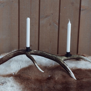 Wild beast - Antler candle holder