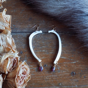 May include: A pair of distinctive earrings, each with a curved bone design, gold-coloured hooks, and small, dark red gemstone drops. The earrings are displayed on a wooden surface, with dried roses and fur in the background.