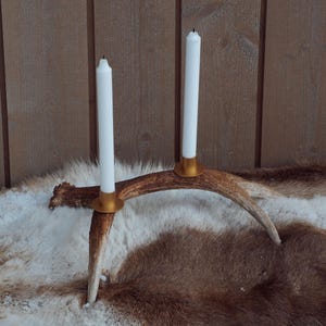 Wild Elg - Antler candle holder