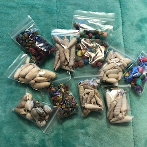 Assorted Lot of Small Sea Shells - Natural and Colored - Great for Crafts, Jewelry, Decor - FREE SHIPPING